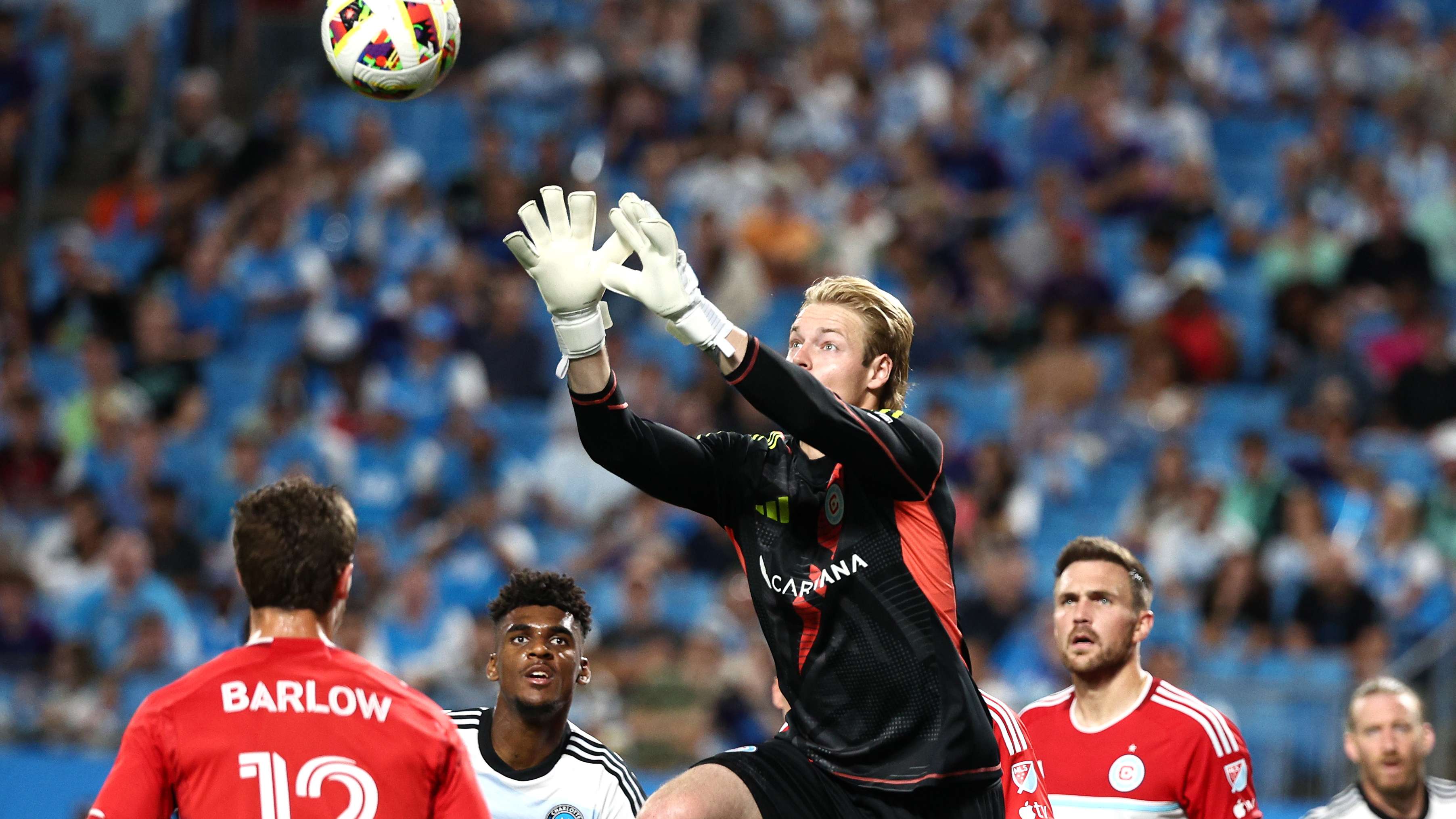 德國杯的 德國杯的